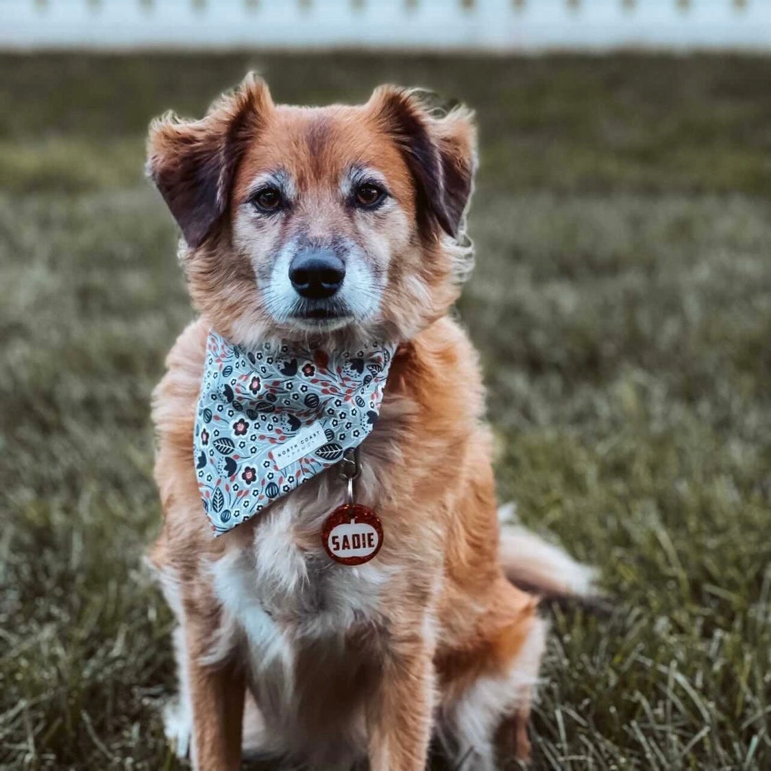 FORAGED FLORAL BANDANA