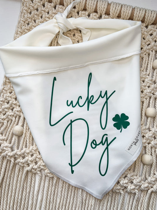 LUCKY DOG PERFORMANCE BANDANA