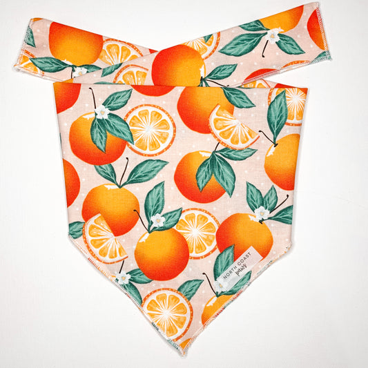 ORANGES BANDANA