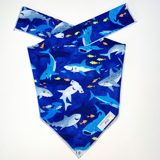 SHARK BANDANA