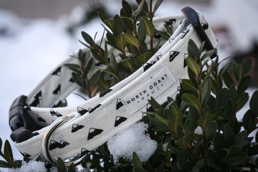 SNOWY MOUNTAINS COLLAR