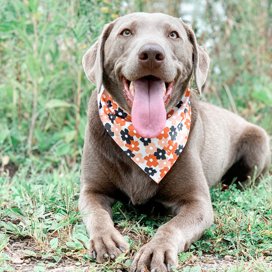 AUTUMN FLORAL BANDANA