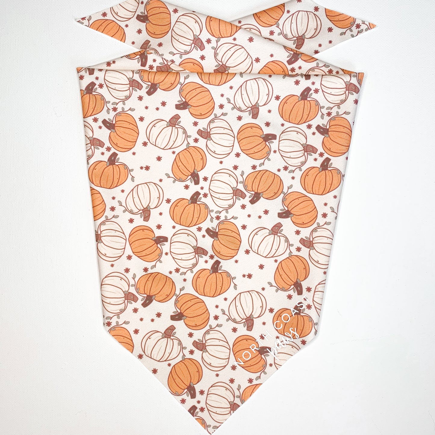 PERFECT PUMPKIN BANDANA