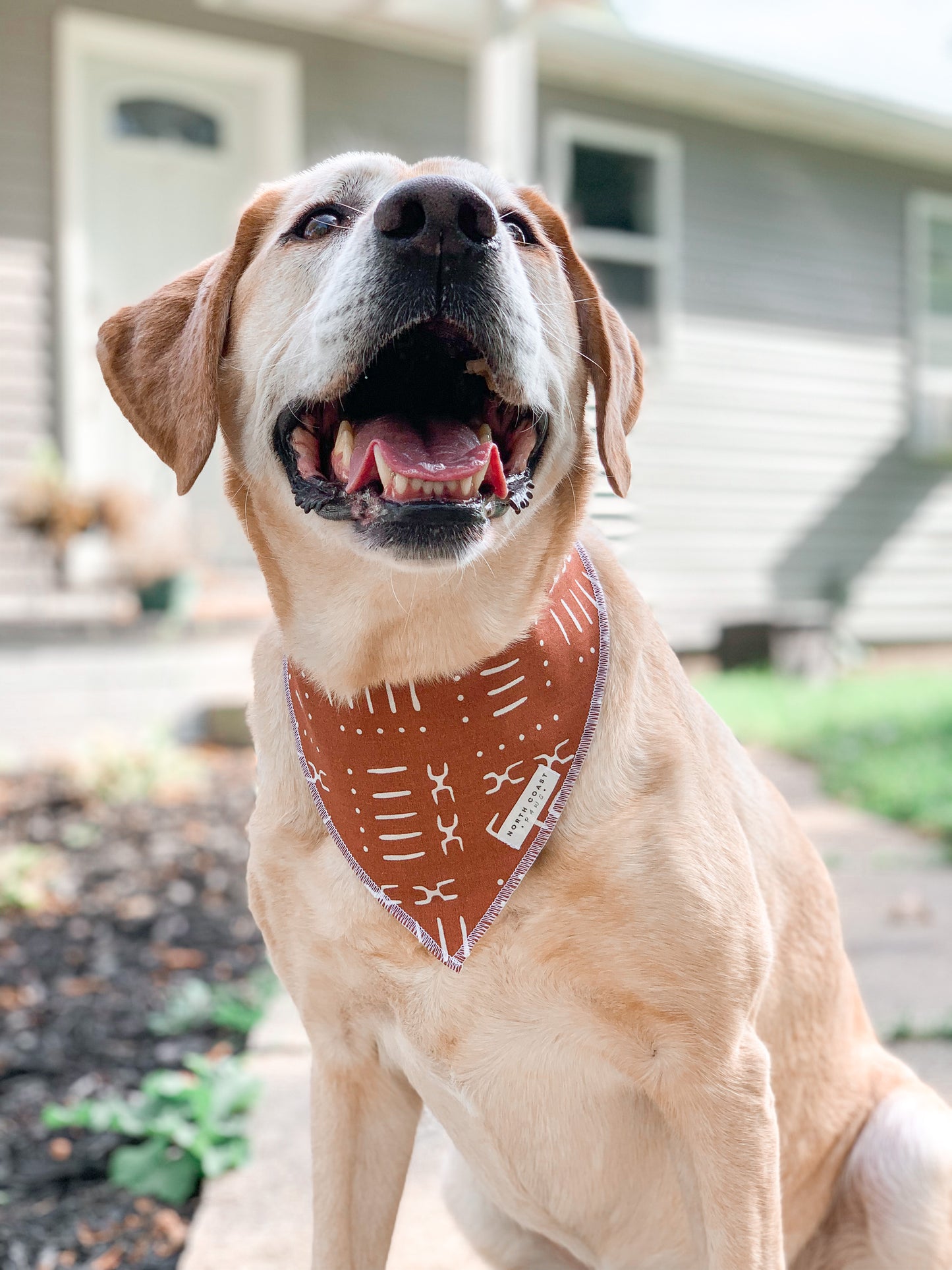 BRISK BOHO BANDANA